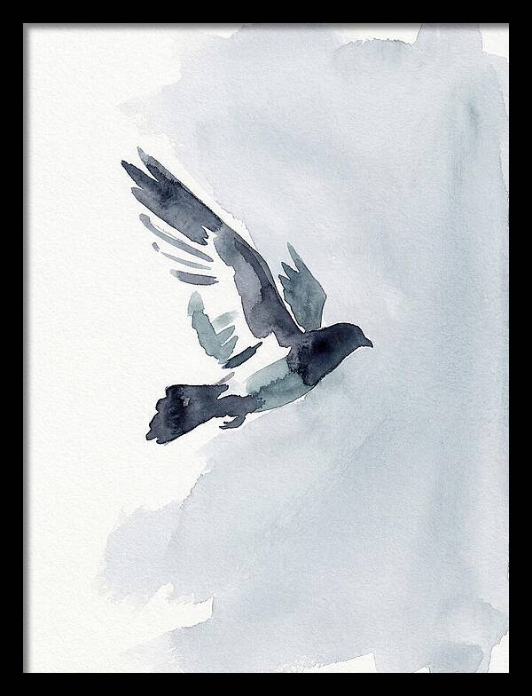 Elegant Pigeon Hawk In Flight