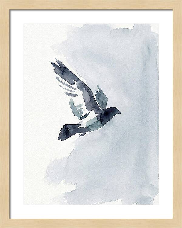 Elegant Pigeon Hawk In Flight
