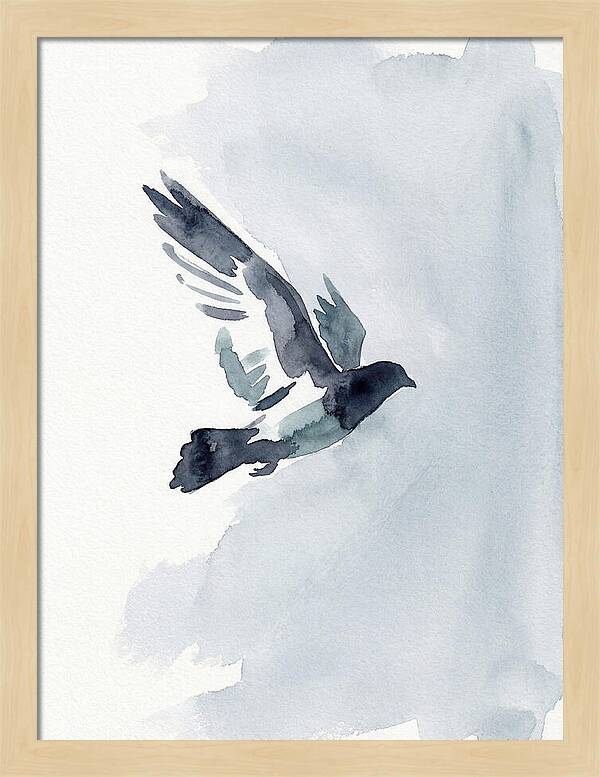 Elegant Pigeon Hawk In Flight