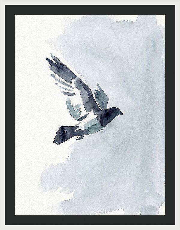 Elegant Pigeon Hawk In Flight