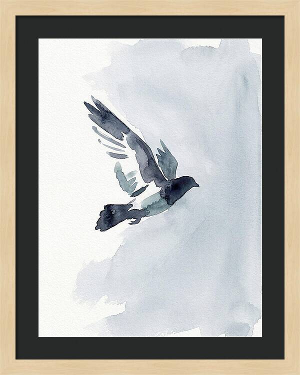 Elegant Pigeon Hawk In Flight