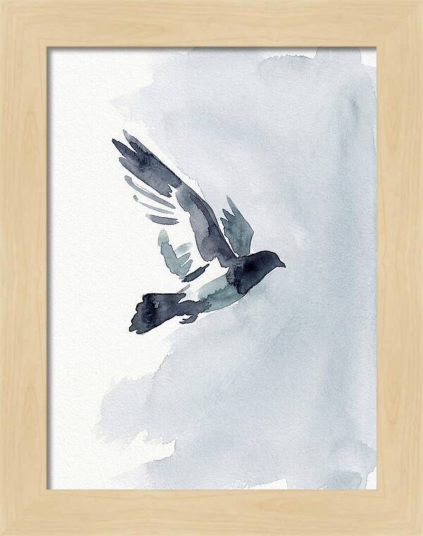 Elegant Pigeon Hawk In Flight