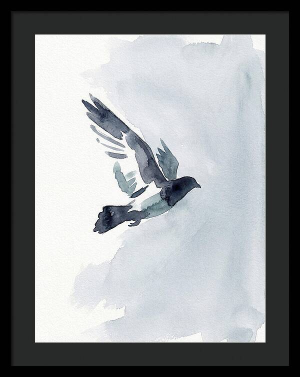Elegant Pigeon Hawk In Flight
