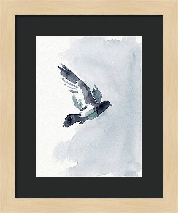 Elegant Pigeon Hawk In Flight