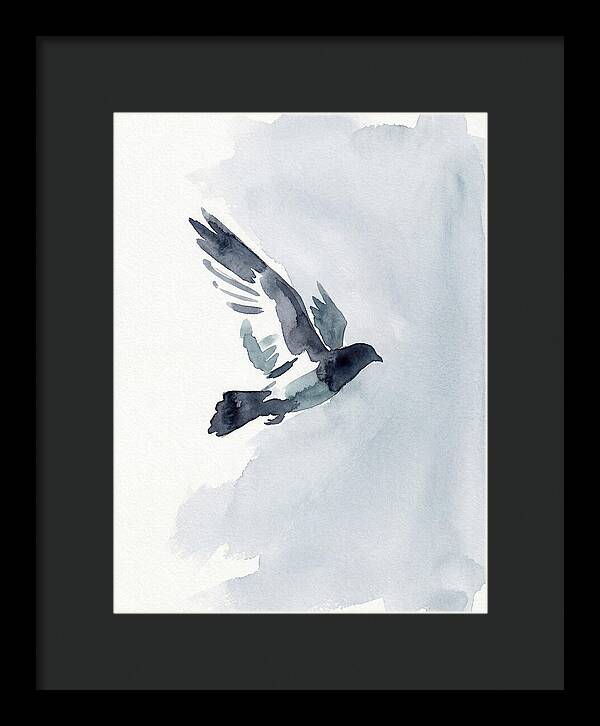 Elegant Pigeon Hawk In Flight