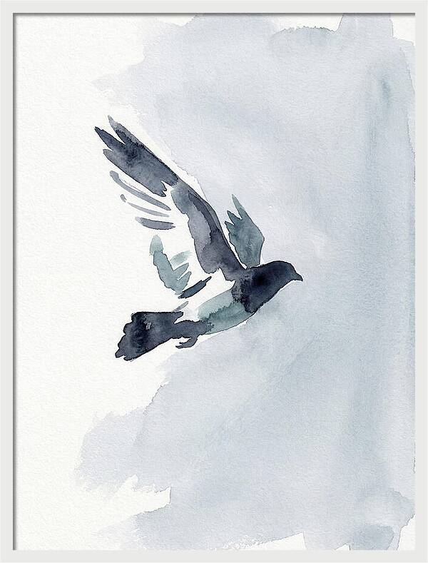Elegant Pigeon Hawk In Flight