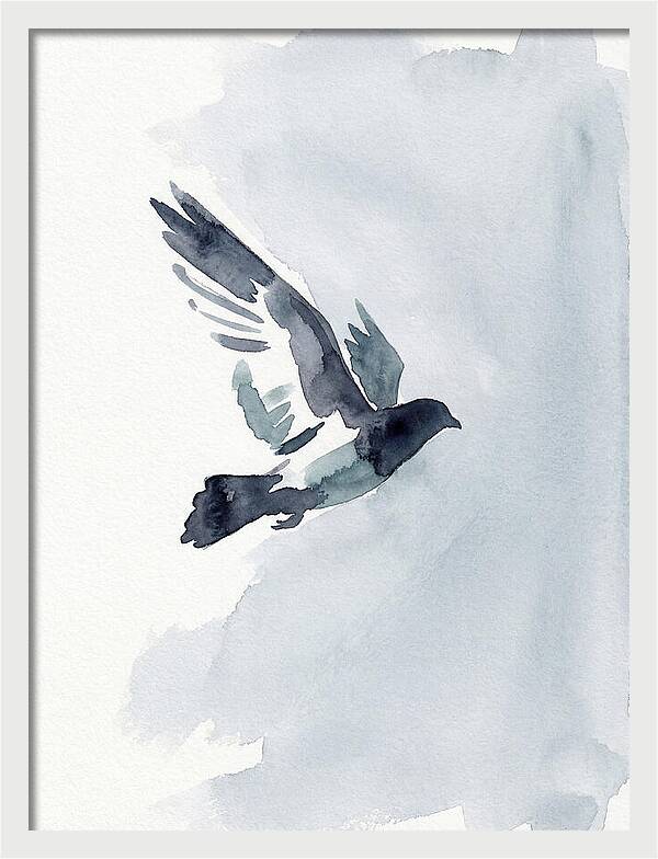 Elegant Pigeon Hawk In Flight