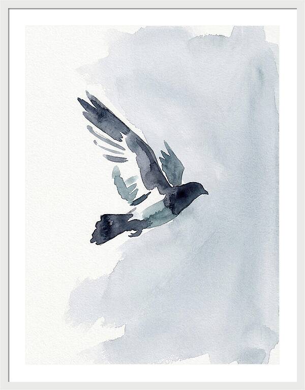 Elegant Pigeon Hawk In Flight