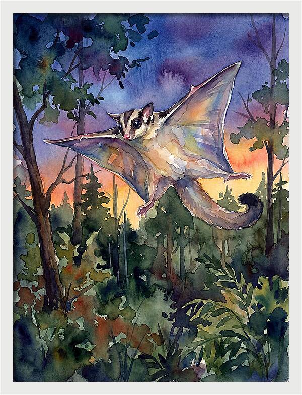 Elegant Sugar Glider In Flight