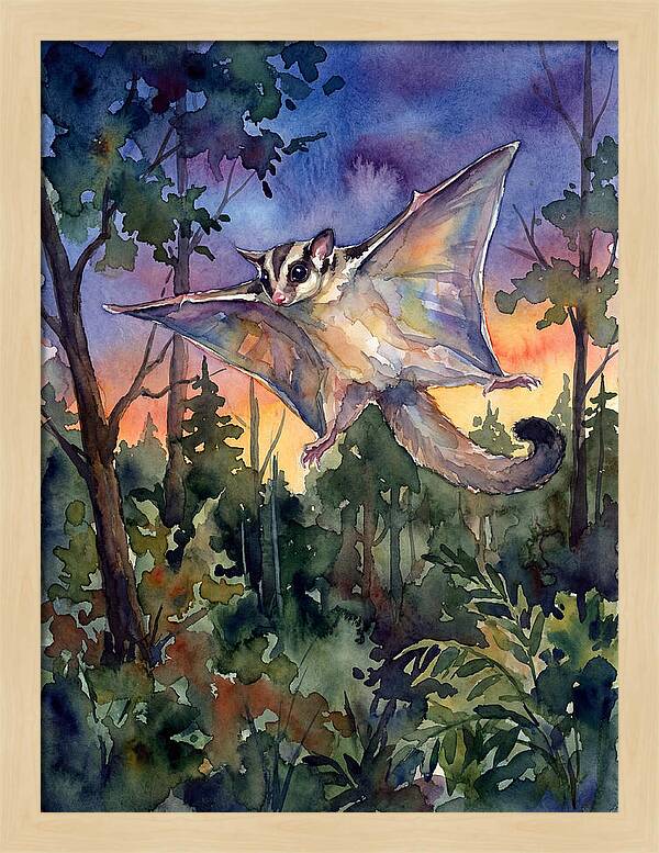 Elegant Sugar Glider In Flight