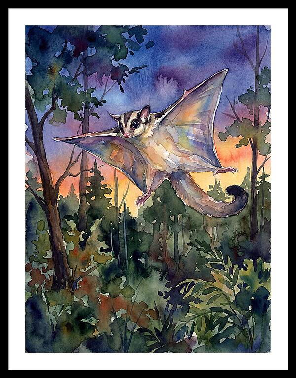 Elegant Sugar Glider In Flight