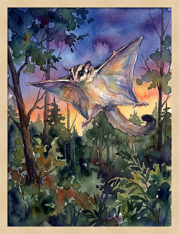 Elegant Sugar Glider In Flight