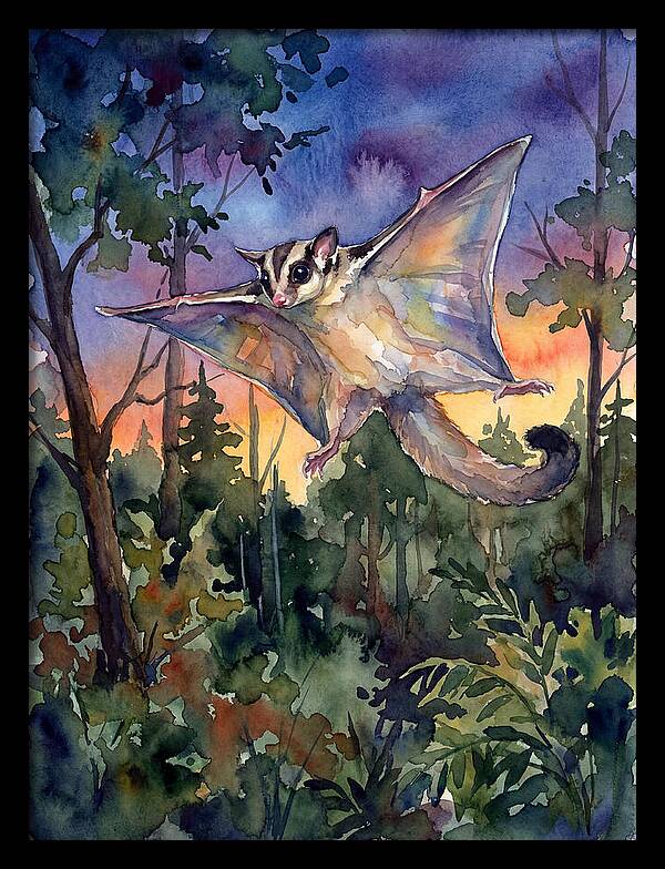 Elegant Sugar Glider In Flight