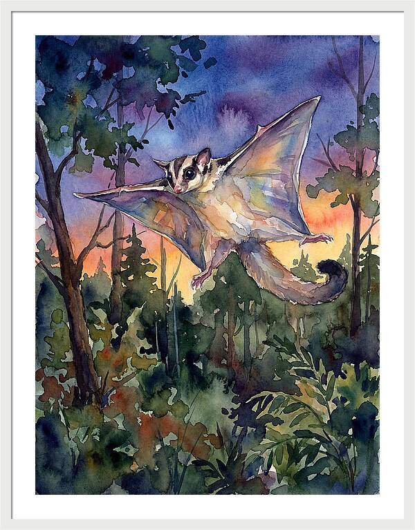Elegant Sugar Glider In Flight