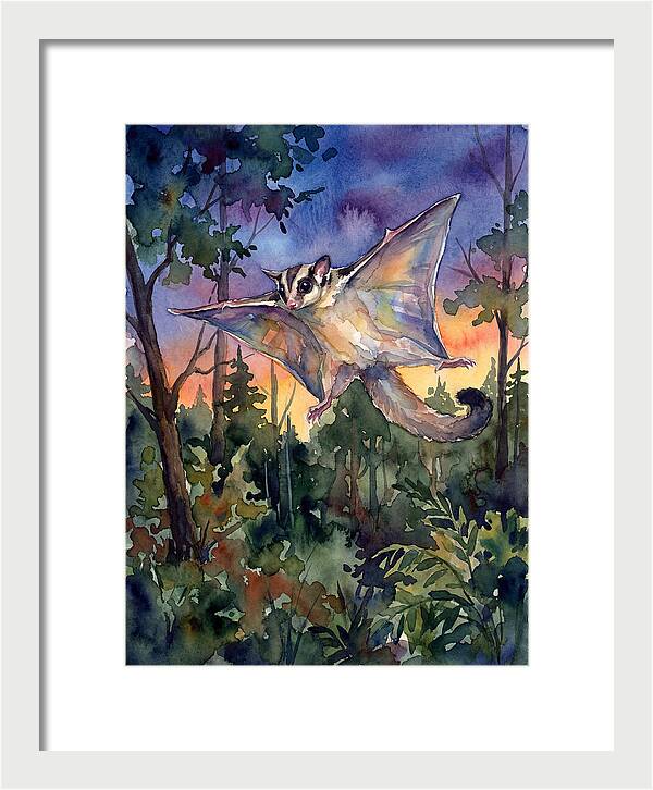 Elegant Sugar Glider In Flight