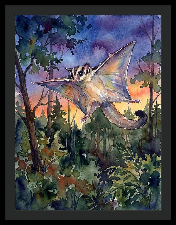 Elegant Sugar Glider In Flight