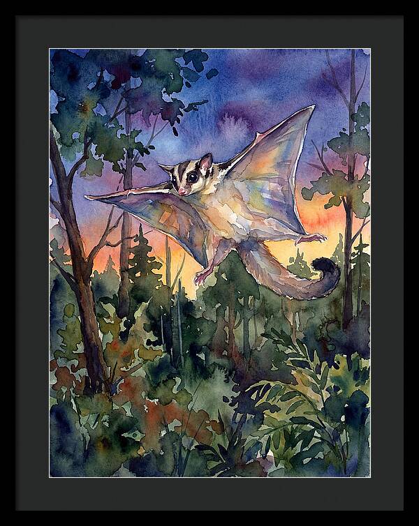 Elegant Sugar Glider In Flight