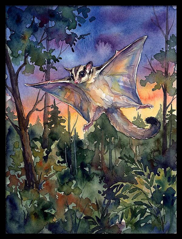 Elegant Sugar Glider In Flight
