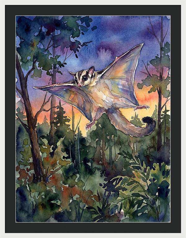 Elegant Sugar Glider In Flight