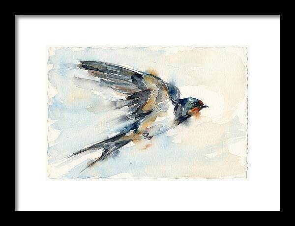 Elegant Swallow In Flight