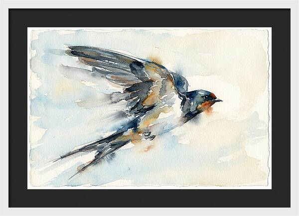 Elegant Swallow In Flight