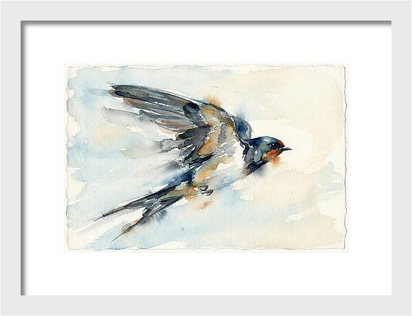 Elegant Swallow In Flight