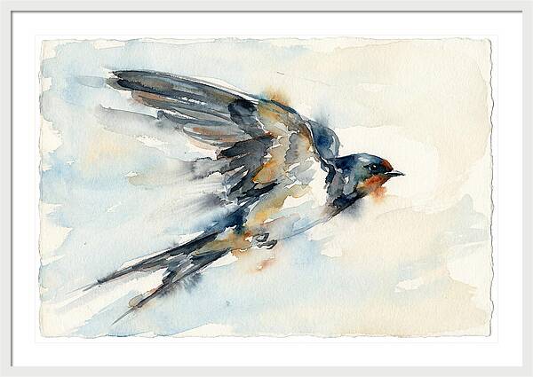 Elegant Swallow In Flight