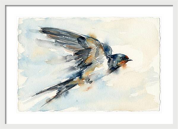 Elegant Swallow In Flight