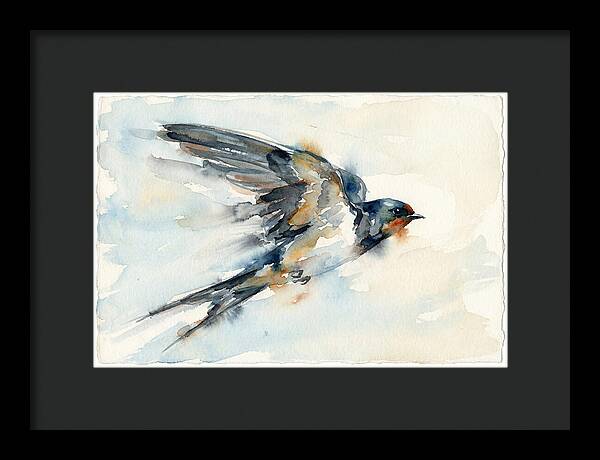 Elegant Swallow In Flight