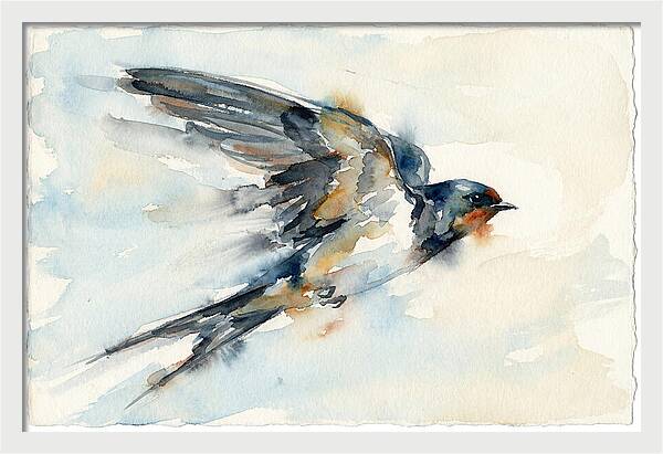 Elegant Swallow In Flight