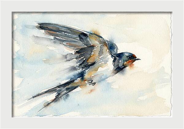 Elegant Swallow In Flight