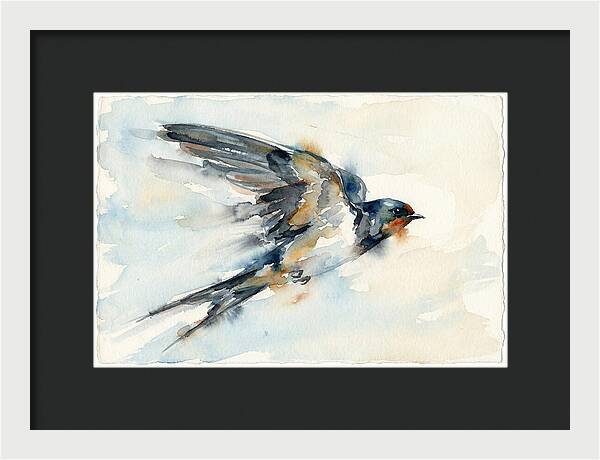 Elegant Swallow In Flight