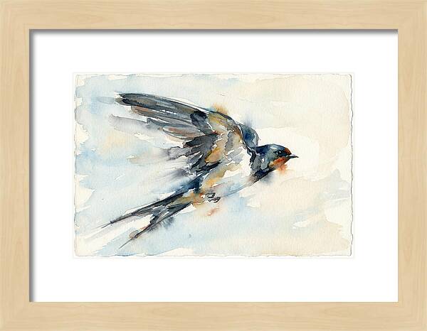 Elegant Swallow In Flight