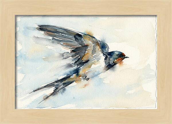 Elegant Swallow In Flight