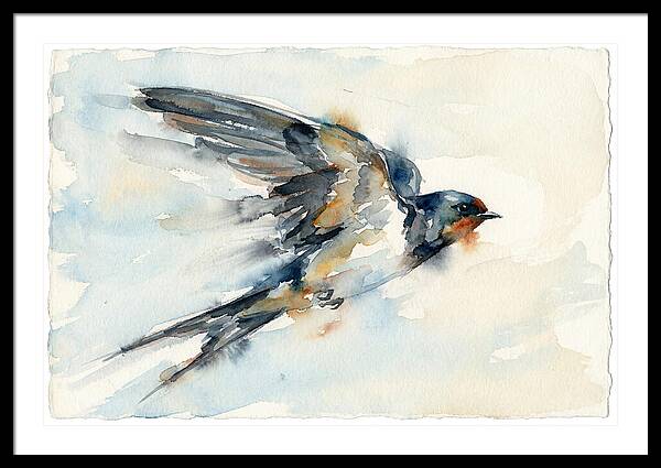 Elegant Swallow In Flight