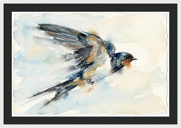Elegant Swallow In Flight