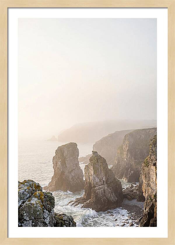 Elegug Stacks At Dawn