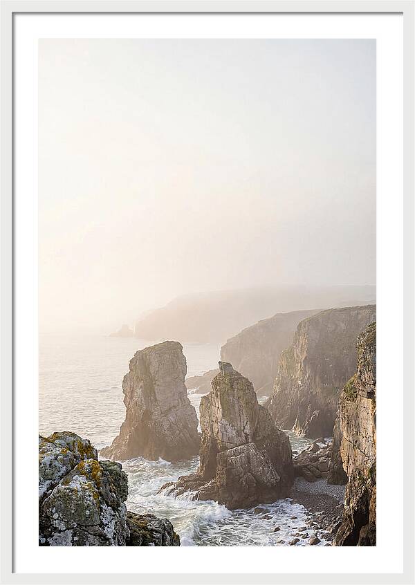 Elegug Stacks At Dawn