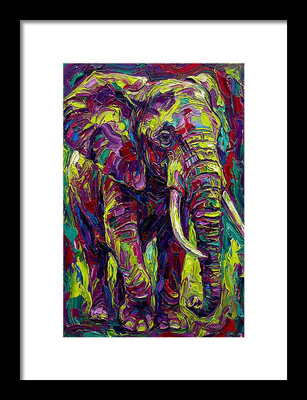 Elephant In Vibrant Colors