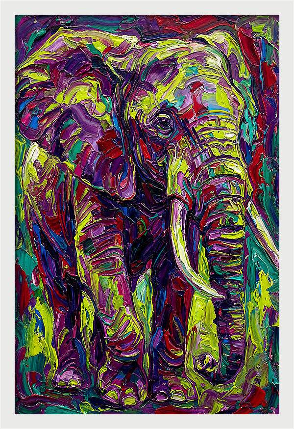 Elephant In Vibrant Colors