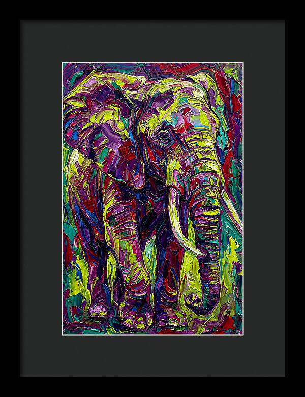 Elephant In Vibrant Colors