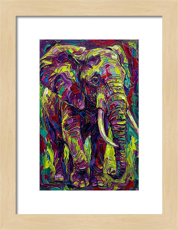 Elephant In Vibrant Colors