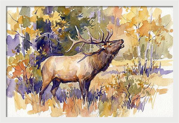 Elk In Autumn Splendor
