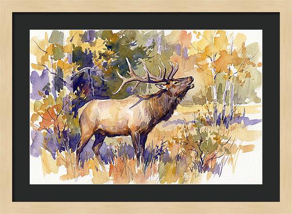 Elk In Autumn Splendor