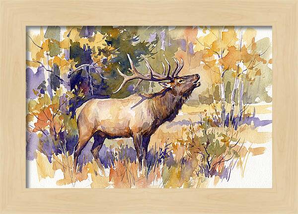 Elk In Autumn Splendor