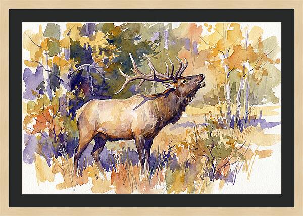 Elk In Autumn Splendor