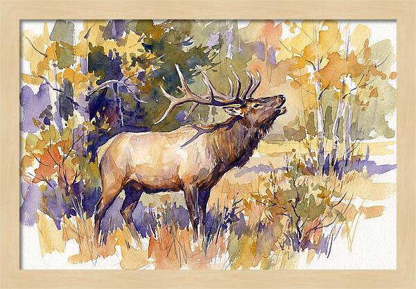 Elk In Autumn Splendor