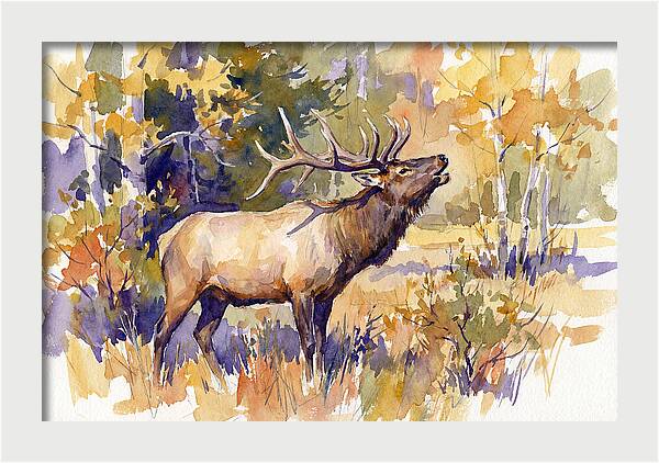 Elk In Autumn Splendor