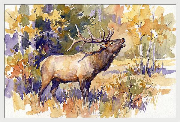 Elk In Autumn Splendor