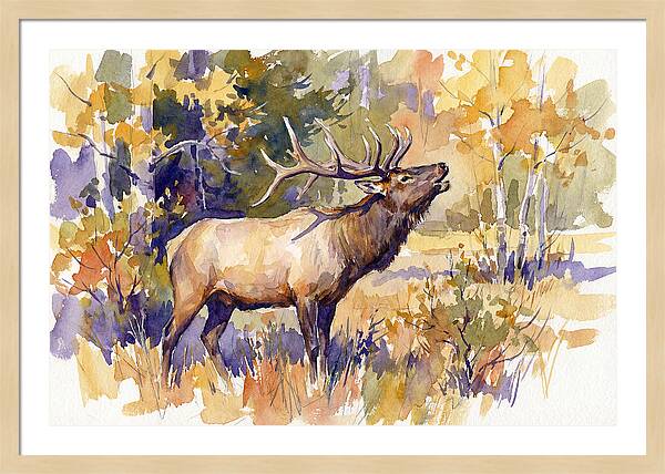 Elk In Autumn Splendor